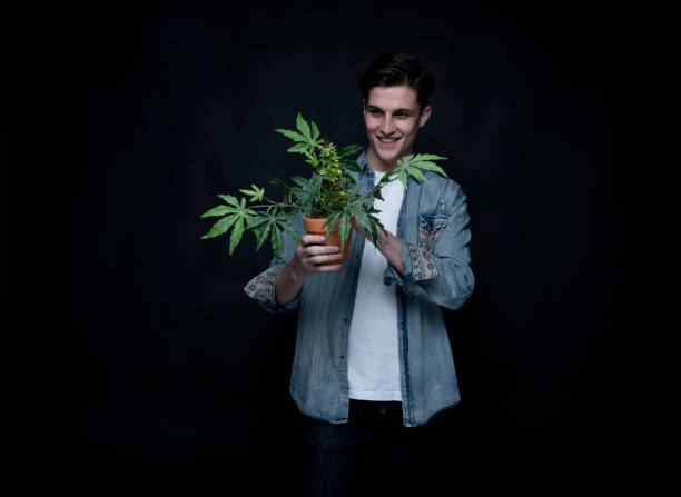 istock Handsome young man is holding a marijuana plant 1170727601