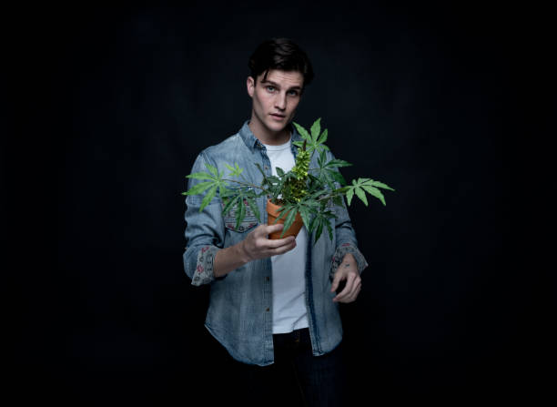 istock Handsome young man is holding a marijuana plant 1170727602