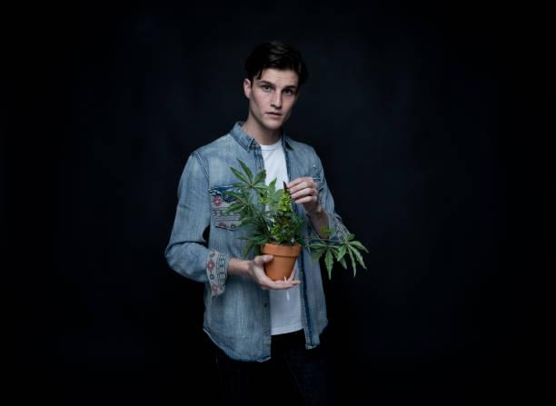 istock Handsome young man is holding a marijuana plant 1170728158