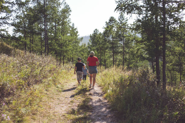 istock Mother with sons, hiking in mountain forest 1170728570