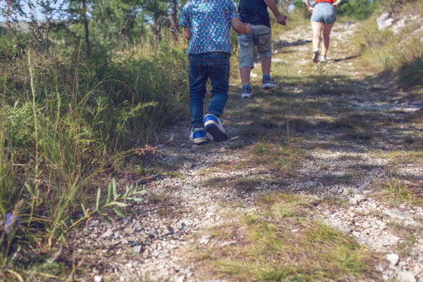 istock Mother with sons, hiking in mountain forest 1170728647
