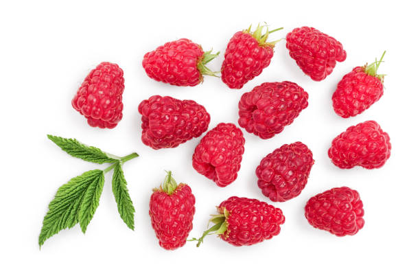 istock raspberries with leaves isolated on white background. Top view. Flat lay 1170730510