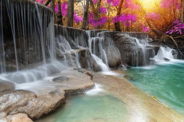 istock waterfall nature season spring in forest 1170731911