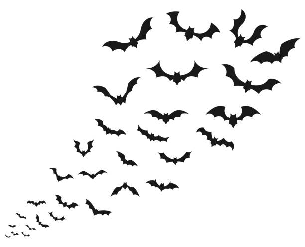 Flying bat  icon set Flying bat  icon set flock of bats stock illustrations