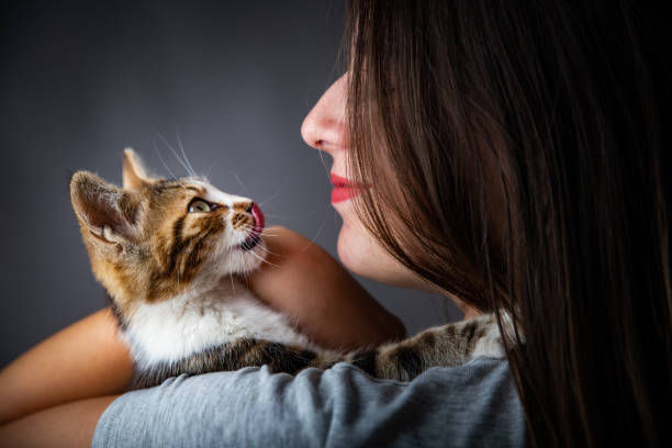 istock Kitten and the owner 1170733195