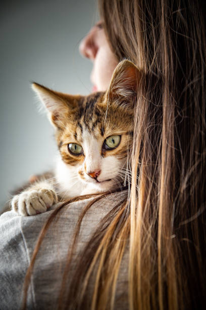 istock Kitten and the owner 1170735693