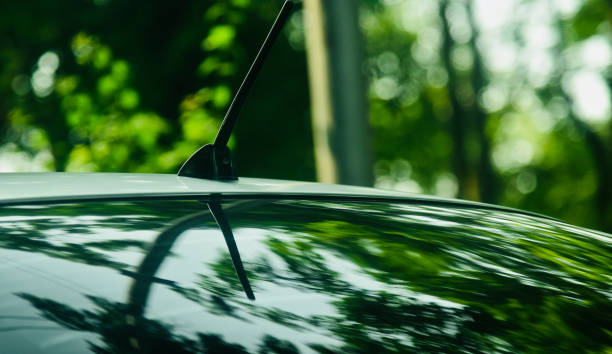 istock Back glass of a white car with tree reflections 1170736934