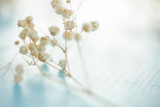 Flower background for holidays. Flat lay style. Copy space. Vintage