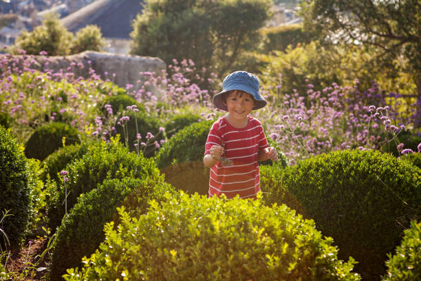 美しいカラフルな花の庭でかわいい幼児の男の子、カメラで笑顔 - single lane road footpath flower formal garden ストックフォトと画像