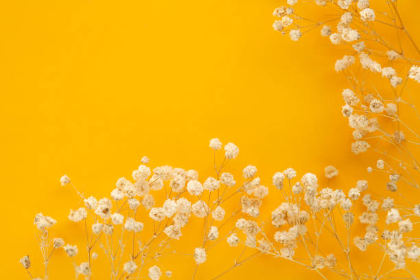 Flower background for holidays. Flat lay style. Copy space. Vintage