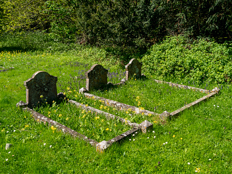 A family grave plot in a churchyard in Suffolk, Eastern England, on a sunny day. Spring flowers stud the bright green grass. The graves probably belong to two parents and one of their offspring.