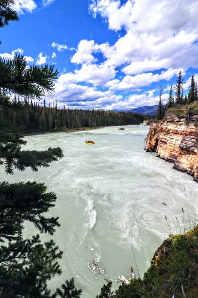 istock Canyoning on the Athabasca River among fir trees 1170744402