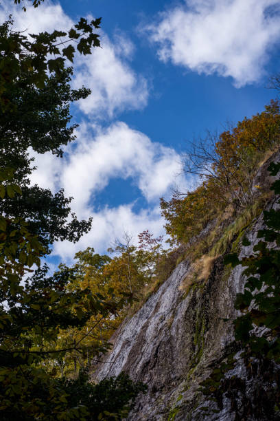 istock Rock face and autumn trees 1170744868