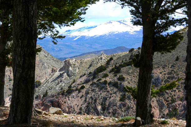 istock Guanacos Curve Trail 1170744935