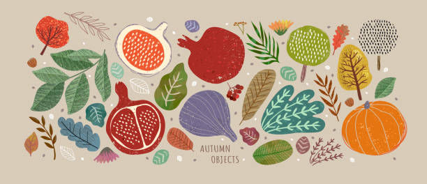 illustrazioni stock, clip art, cartoni animati e icone di tendenza di illustrazioni vettoriali di oggetti autunnali: frutta e verdura, raccolto, alberi, foglie, piante, zucca, melograni, fichi e noci. simpatici disegni a mano libera per creare un poster o una carta. - tree abstract painted image vector