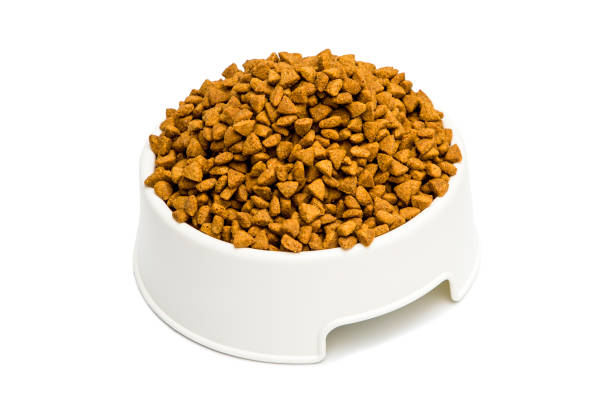 istock Cat and dog food isolated on white 1170746326