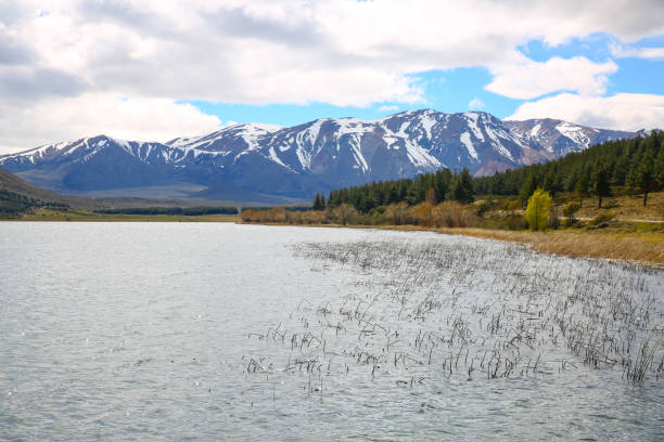The Zeta Lagoon In Esquel the lagoon La Zeta is one of its attractions, fishing, kayaking, walking, running, diving or having a beautiful picnic. trout lake stock pictures, royalty-free photos & images