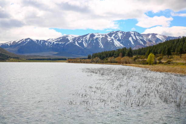 the zeta lagoon - trout fishing imagens e fotografias de stock