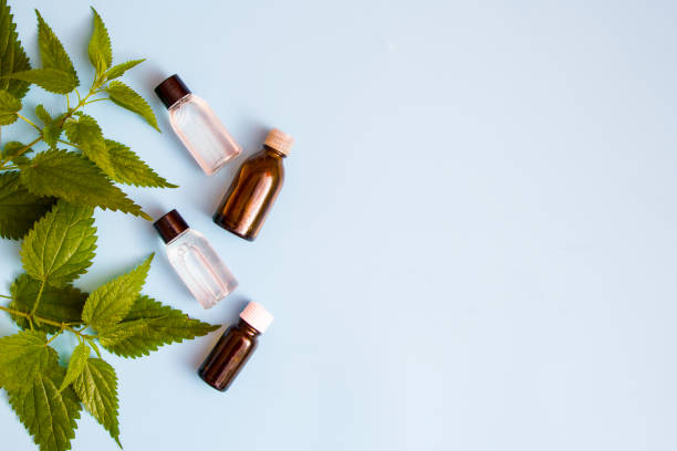 istock Cosmetics made from natural materials 1170747428