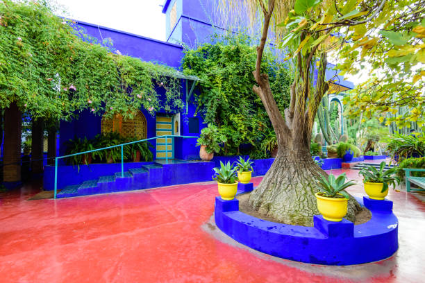 美しいマジョレルガーデンは、マラケシュの植物、トロピカルガーデン、アーティストの風景庭園です - morocco majorelle gardens formal garden islam ストックフォトと画像