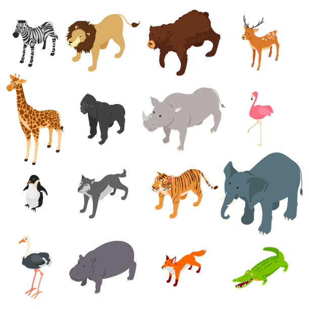 Wild Animals Isometric Illustration vector art illustration