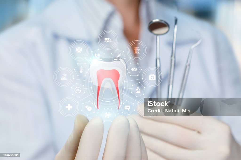 Der Arzt zeigt das Modell eines gesunden Zahnes. - Lizenzfrei Zahnpflege Stock-Foto