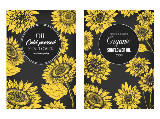 Sunflower Oil Print Template. Yellow and Orange Banners vector art illustration