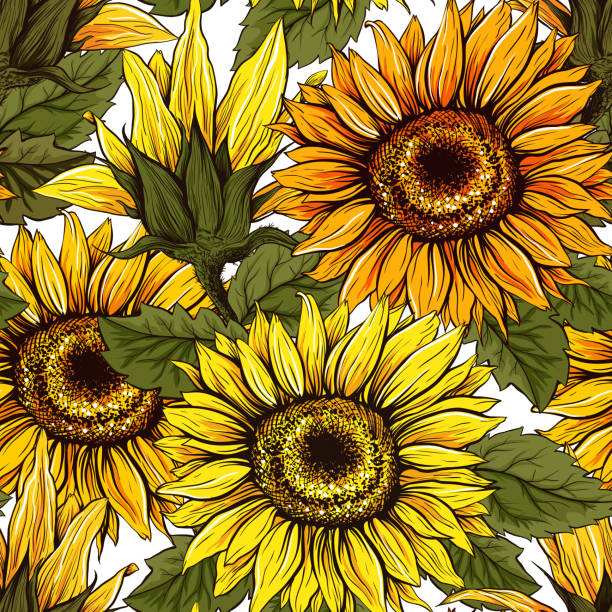 Sunflowers field seamless vector pattern for fabric textile design. Flat colors, easy to print. Sunflowers field seamless vector pattern for fabric textile design. Flat colors, easy to print. Yellow and Orange wildflowers with seeds for honey and Thanksgiving backgrounds design. helianthus stock illustrations