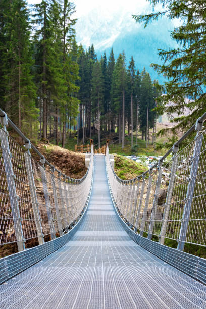 istock uspension bridge in the forest 1170759136
