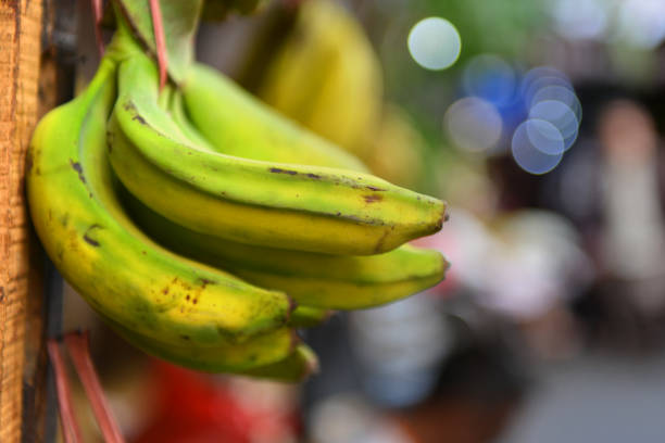 Bananas