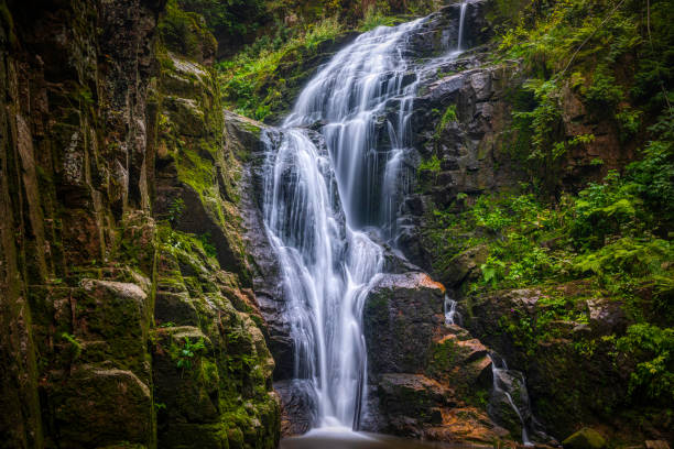 falling waterfall on the mountain stream (HDRi) beautiful falling waterfall in the Karkonosze (Krkonoše, Giant Mountains) mountains karkonosze mountain range photos stock pictures, royalty-free photos & images