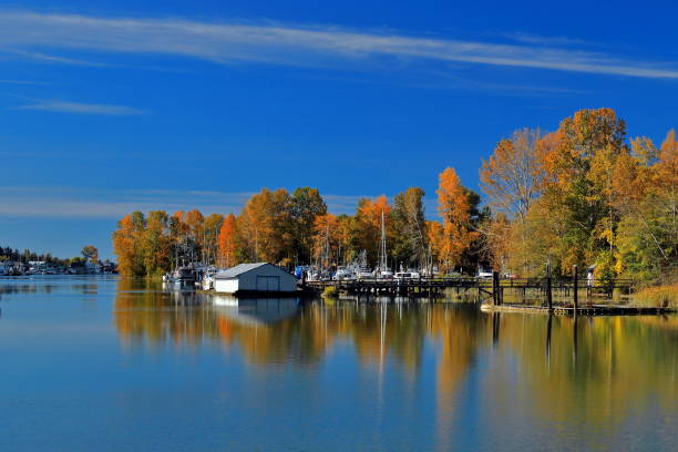 istock Marina at the Riverside 1170763018