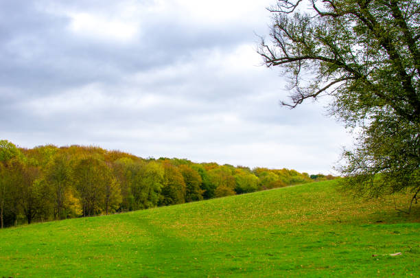Autumn at Basildon Park in Berkshire, England