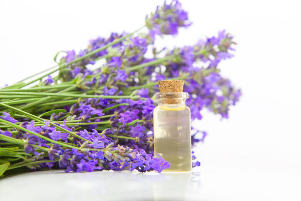 istock lavender essential oil in  beautiful bottle on White background 1170770324
