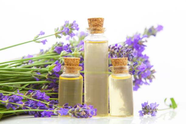 istock lavender essential oil in  beautiful bottle on White background 1170770620