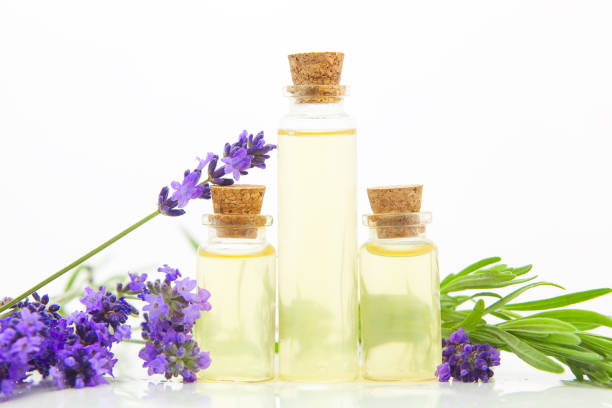 istock lavender essential oil in  beautiful bottle on White background 1170770836