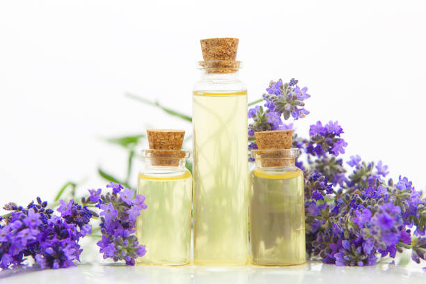 istock lavender essential oil in  beautiful bottle on White background 1170771371