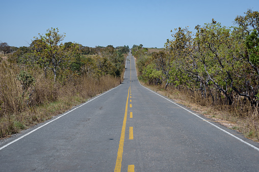 Road to Pocone, Pantanal, Mato Grosso, Brazil, South America.