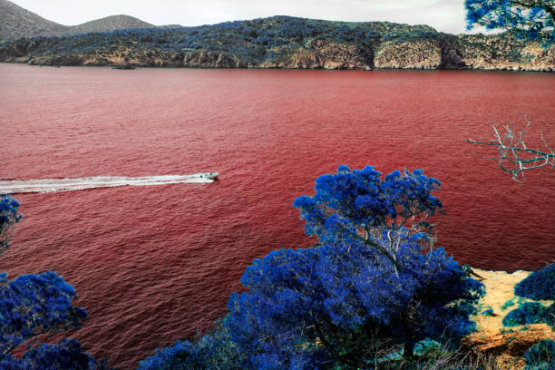 Red water cut by a speed boat with an unknown destination framed by blue vegetation