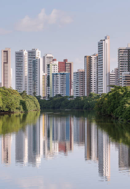 istock Architecture and nature from Recife city 1170775151
