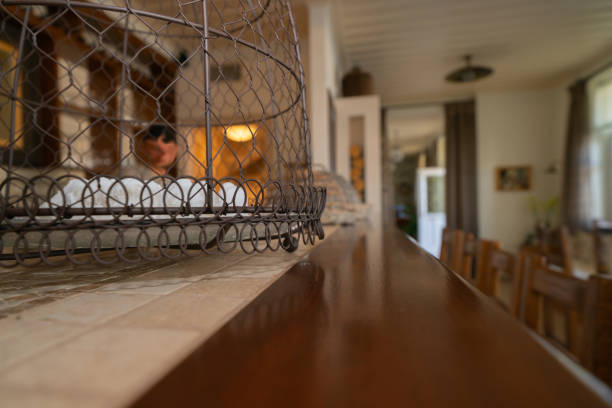 Mourayio Bed and Breakfast Mourayio stylish and comfortable Bed and Breakfast accommodation selective focus in serving area of dining room , Ermioni, Peloponnese Peninsula Greece. ermioni stock pictures, royalty-free photos & images