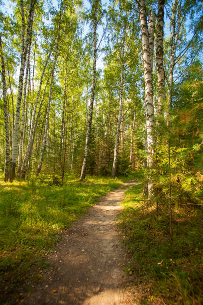 istock autumn beautiful panoramic rural landscape 1170777266