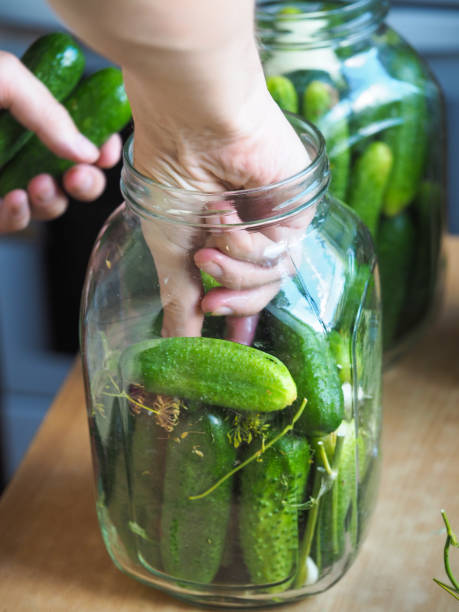 istock Home canning cucumbers. Laying gherkins in a jar for canning 1170779459