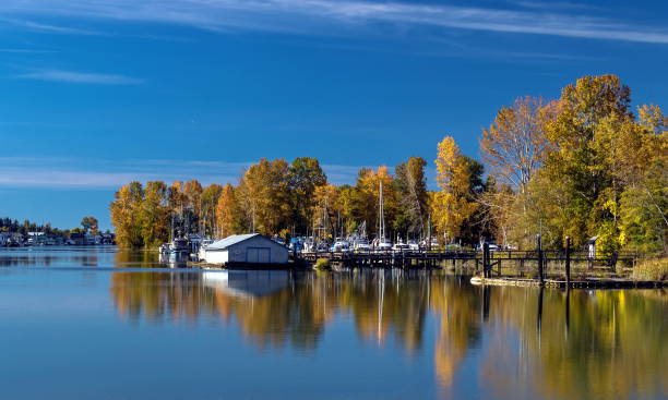 istock Marina at the Riverside 1170782901