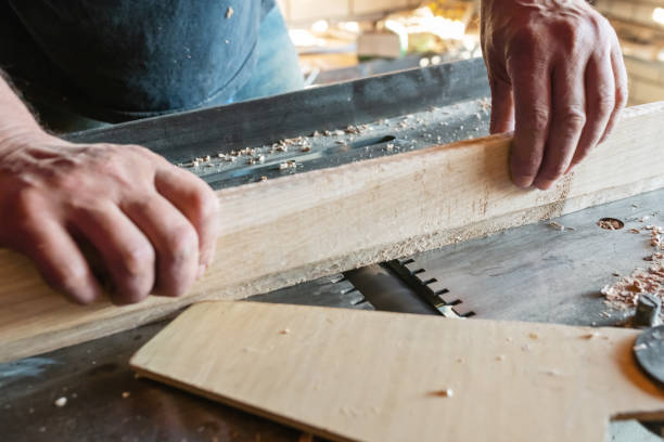istock Woodworking machine cutting wood 1170786169