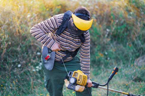 joven agricultor jardinero cortando malezas de hierba en la plantación de ciruela de huerto utilizando motor de arranque de la recortadora de gasolina de recortador - hedge clippers weed trimmer grass lawn fotografías e imágenes de stock