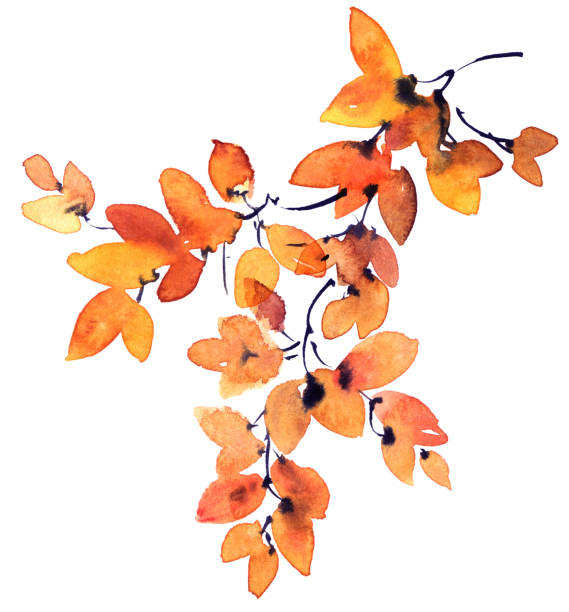 istock Watercolor and ink painted tree branch with leaves 1170789870