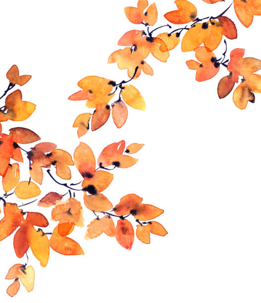 istock Watercolor and ink painted tree branch with leaves 1170789878
