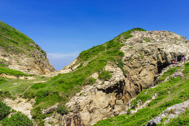 istock A stone island in the sea, covered with plants 1170792887