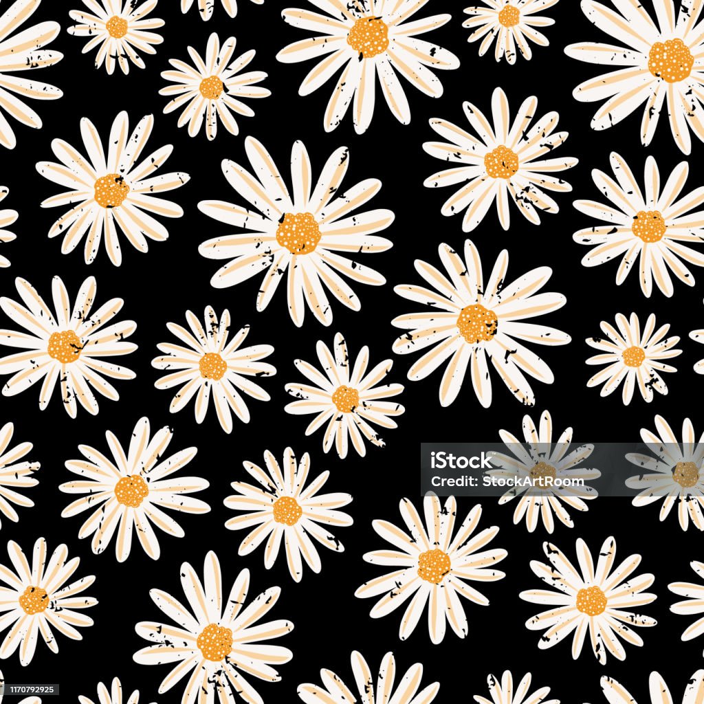 Hoa Daisy Cổ Điển Mô Hình Vector Liền Mạch Hoa Cúc Trắng Đau Khổ ...